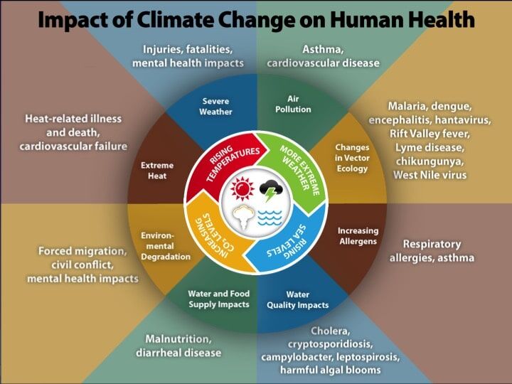 Climate change impacts