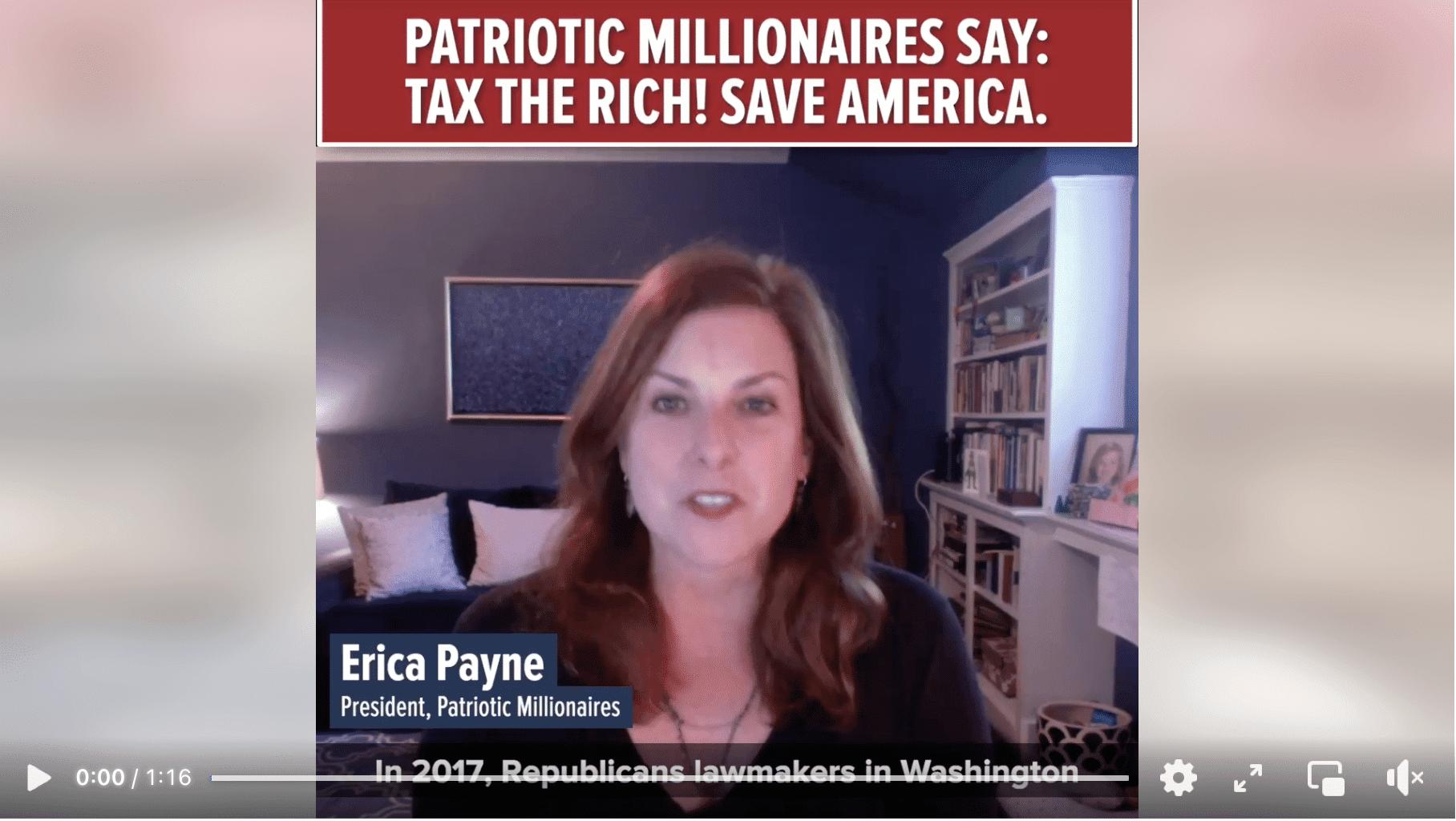 Link to Patriotic Millionaire Tax the Rich video
