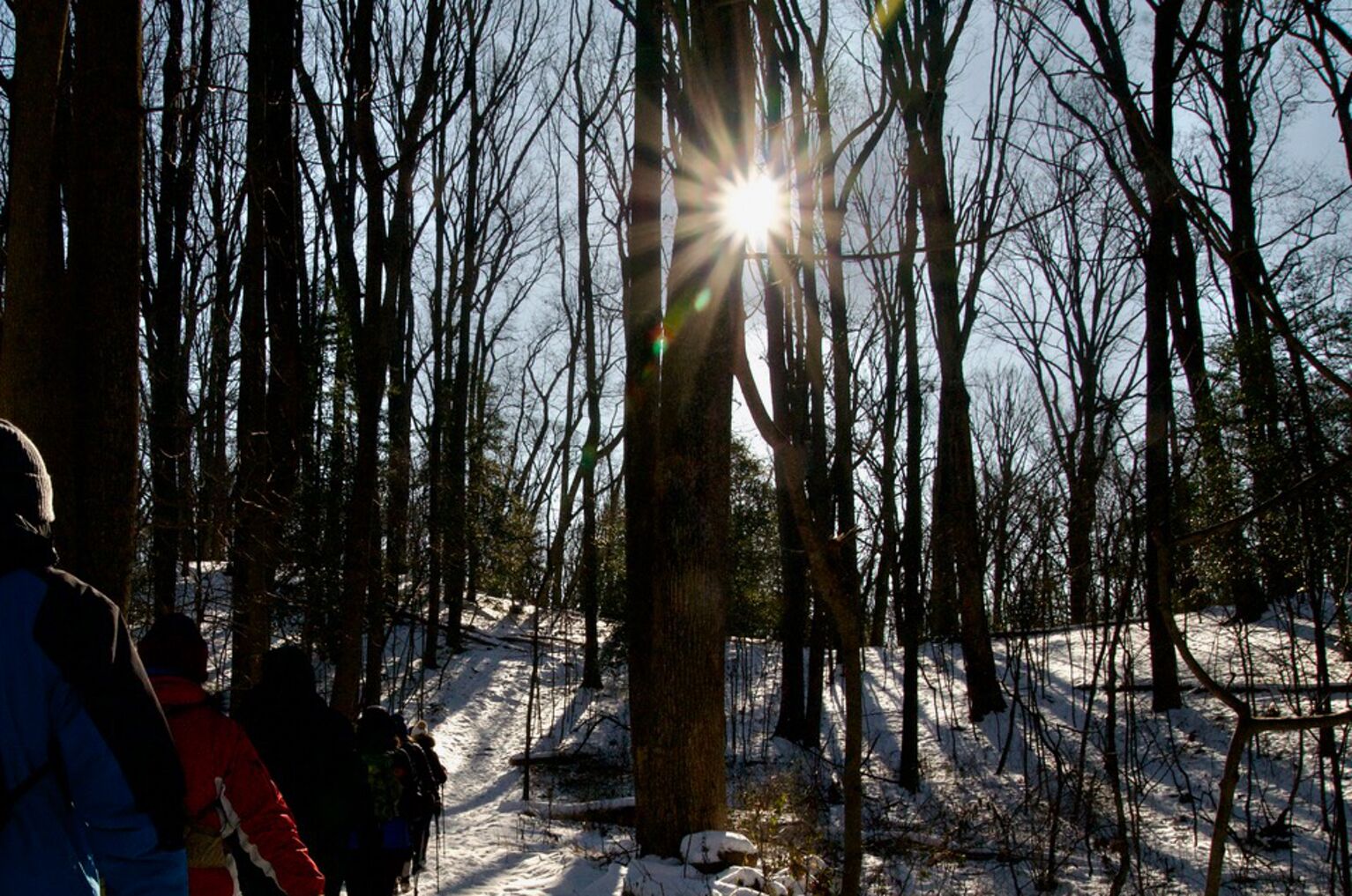 Photo of hikers trekking through the winter woods