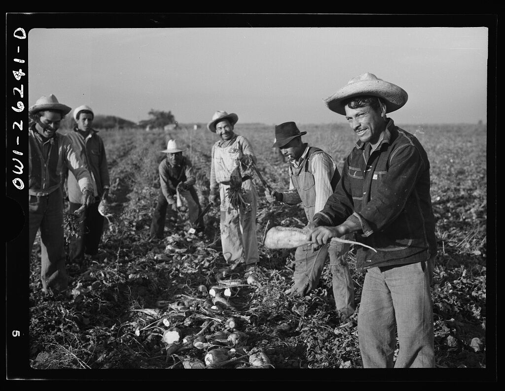 Bracero-service-pnp-fsa-8d29000-8d29100-8d29109v Mexican immigrants