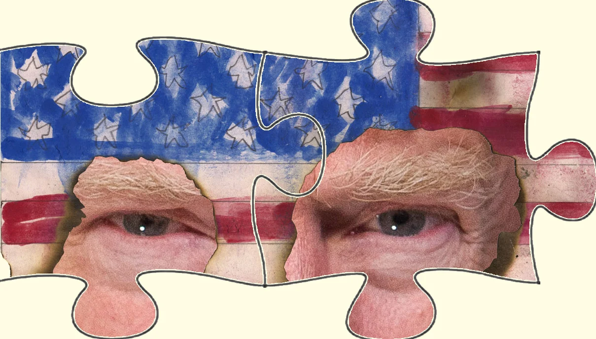 Damaged-Flag-2pc-eyes Image of damaged flag jigsaw puzzle pieces