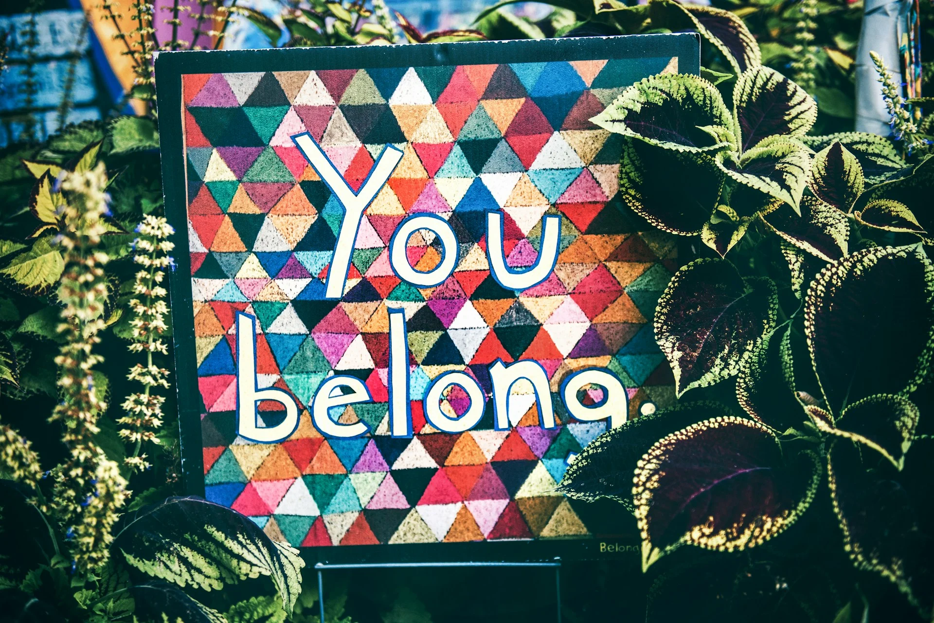 tim-mossholder-ZFXZ_xMYTZs-unsplash Image with words "You Belong"