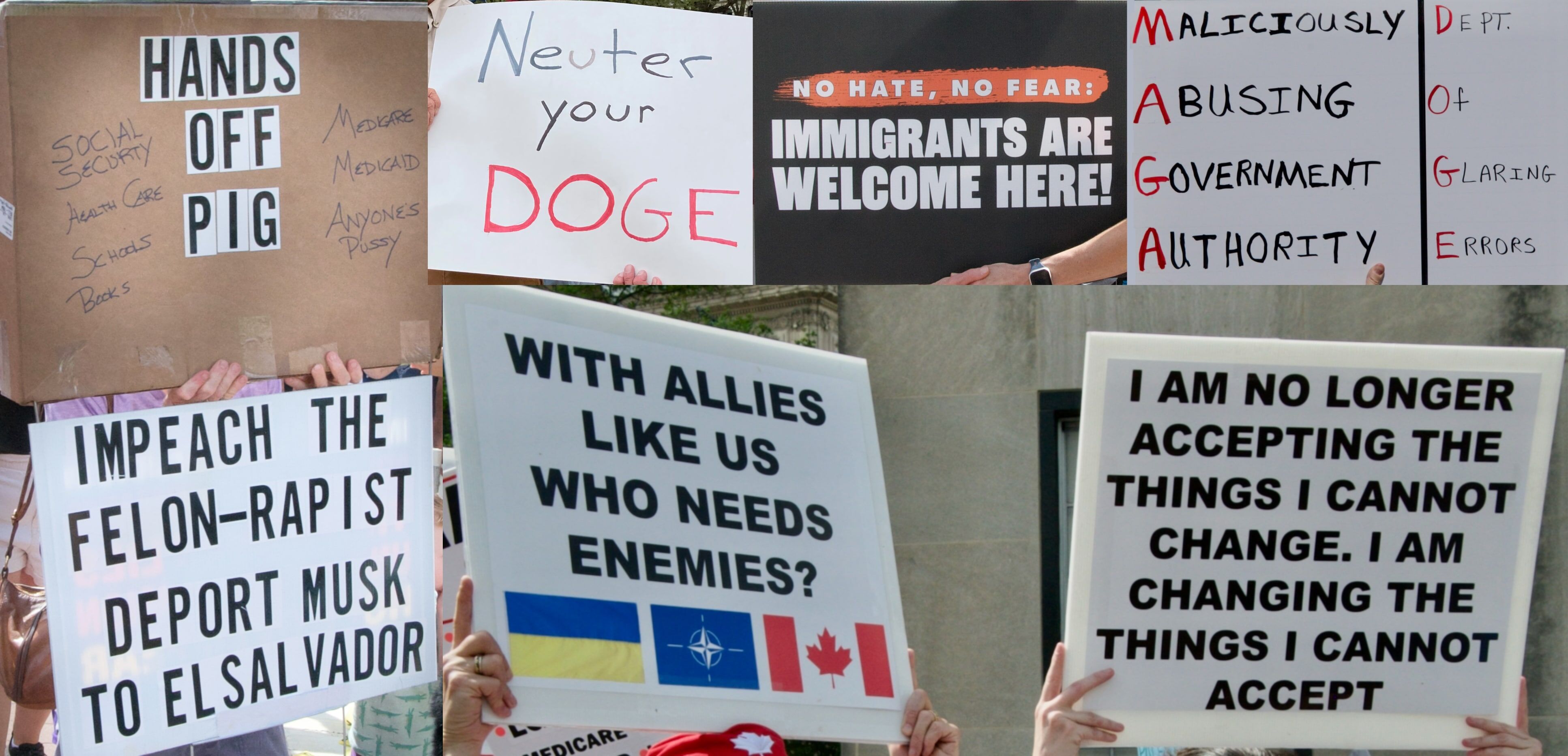 Protests against DOGE